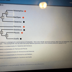 Which of the following statements about phylogenetic trees is true