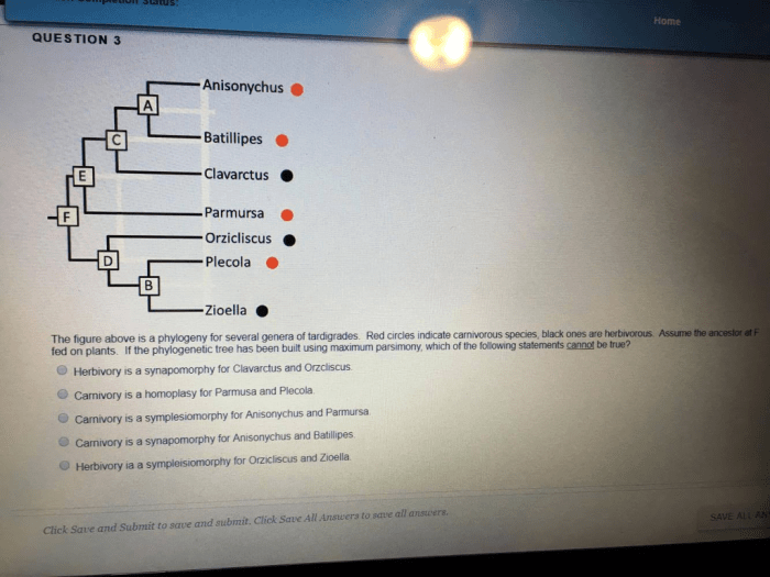 Which of the following statements about phylogenetic trees is true